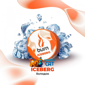 Заказать кальянный табак Burn Iceberg (Холодок) 25г онлайн с доставкой всей России